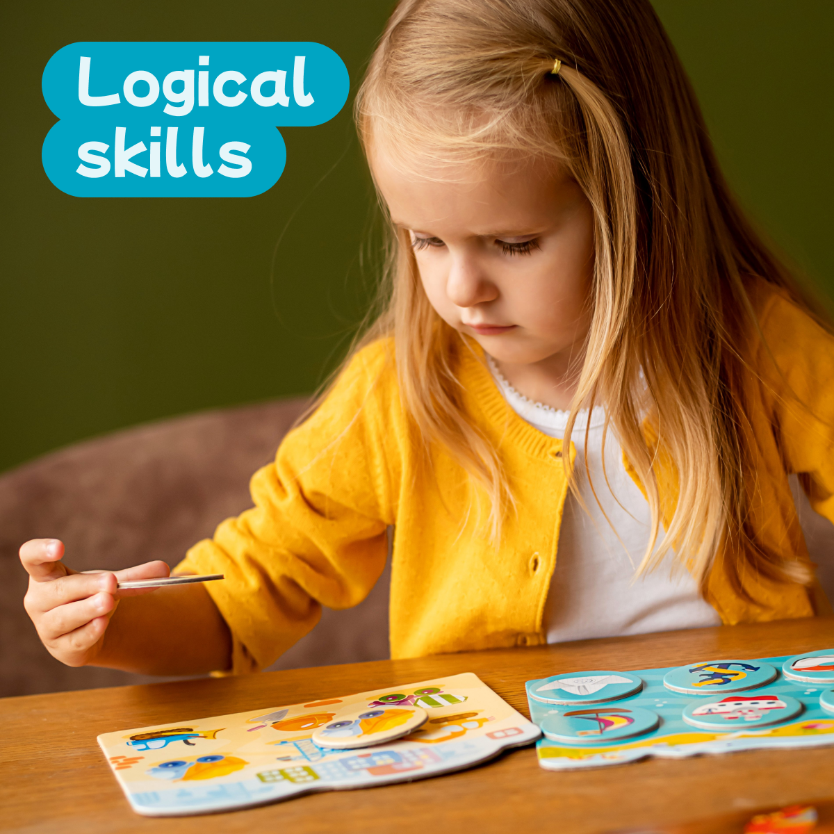 Montessori toys for logical skills